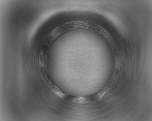 X0000076221151200610051110