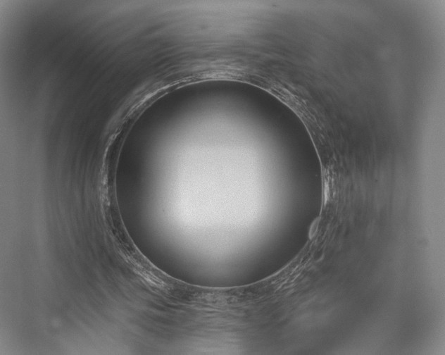 X0000076221155200610051110