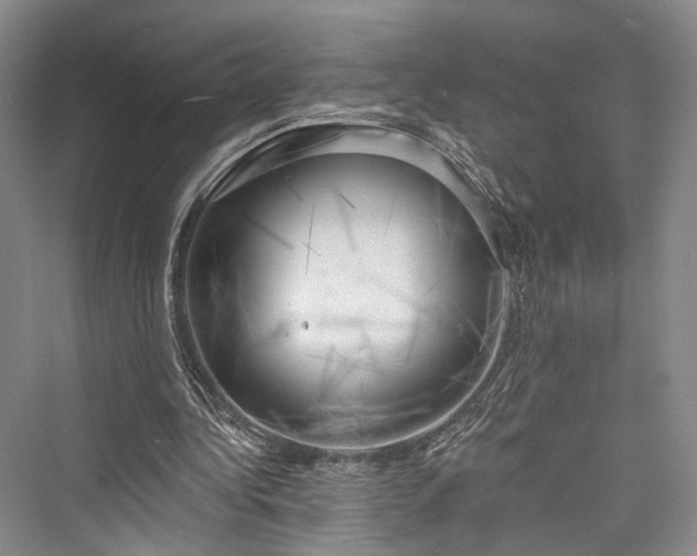 X0000076221156200610051110