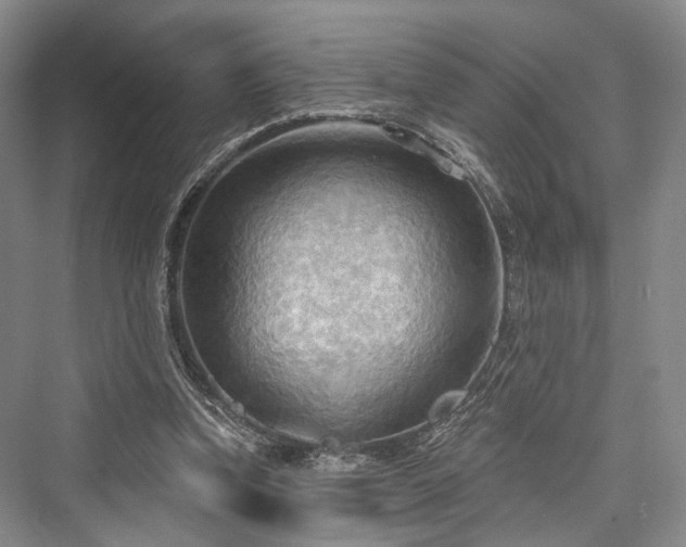 X0000076221162200610051111