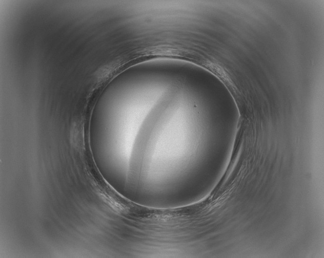 X0000076221165200610051111