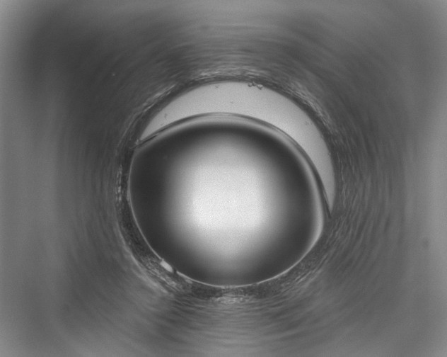 X0000076221172200610051111