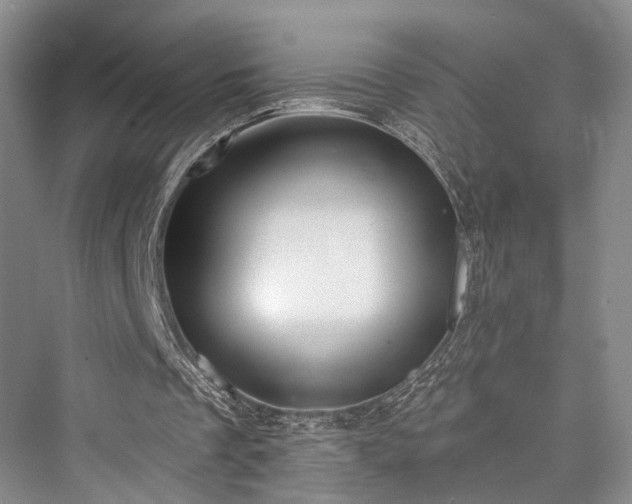 X0000076221201200610051112
