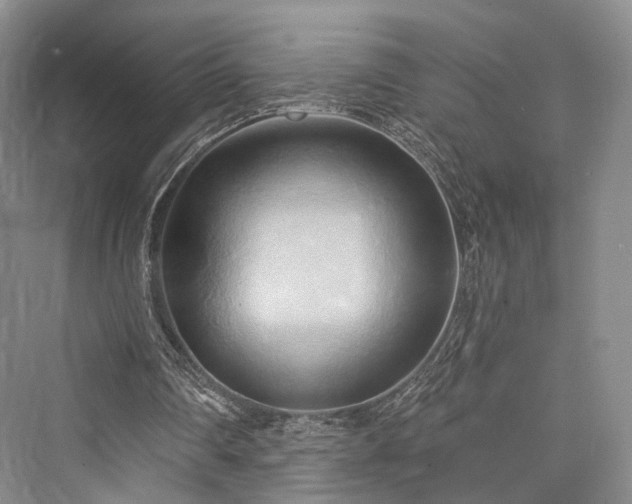 X0000076221202200610051112
