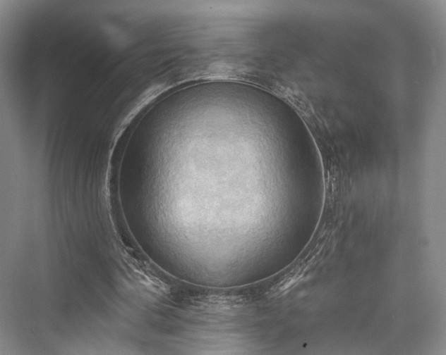 X0000076221204200610051112