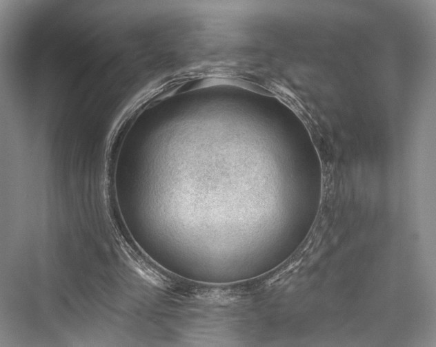 X0000076221205200610051112