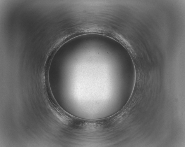 X0000076221210200610051112