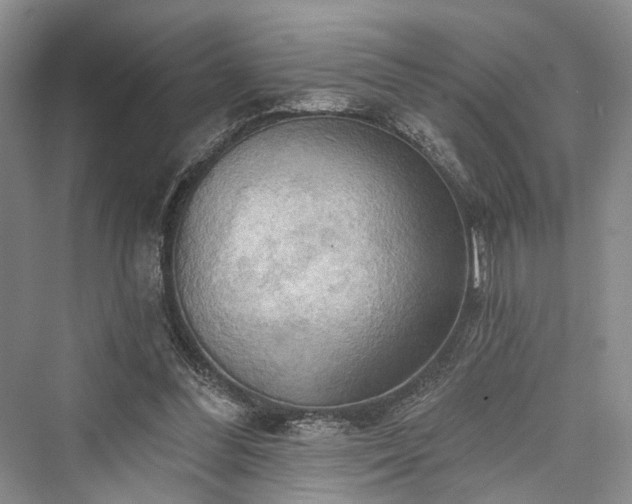 X0000076221212200610051112
