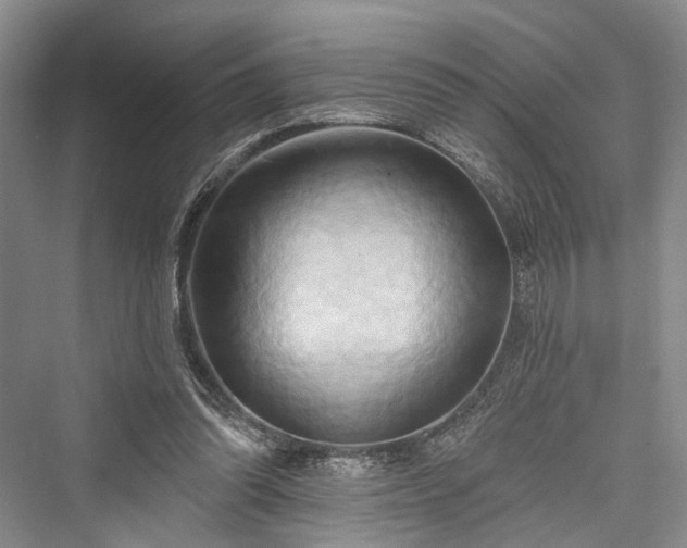 X0000076221214200610051112