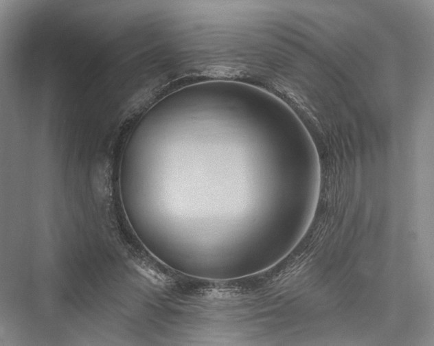 X0000076221215200610051112