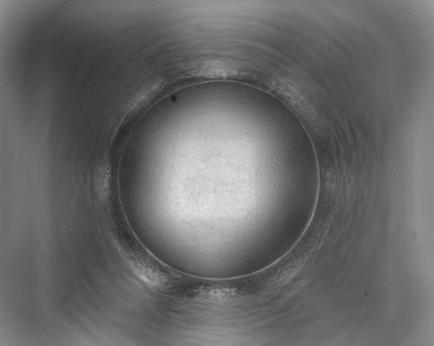 X0000076221216200610051112