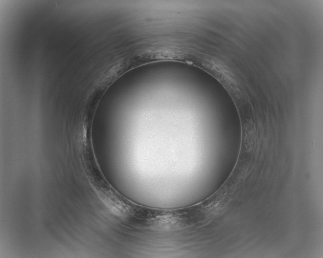 X0000076221222200610051112