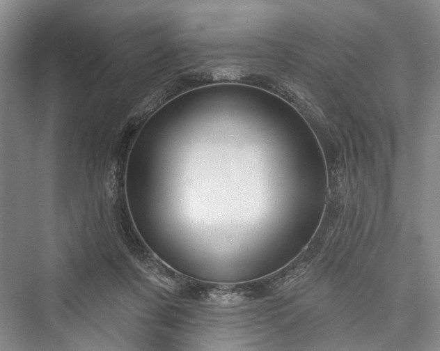 X0000076221223200610051112
