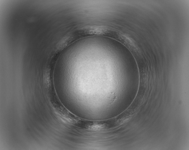 X0000076221224200610051112