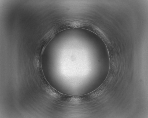 X0000076221225200610051112