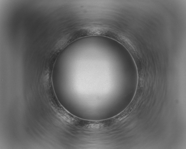 X0000076221226200610051112