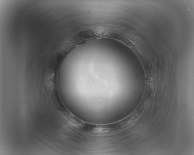 X0000076221231200610051111