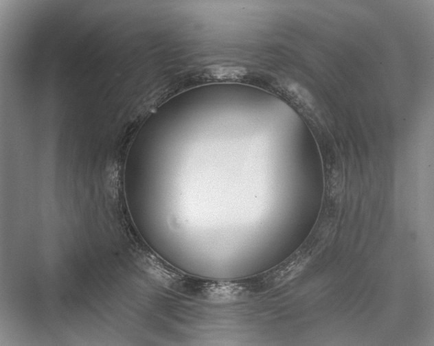X0000076221233200610051111