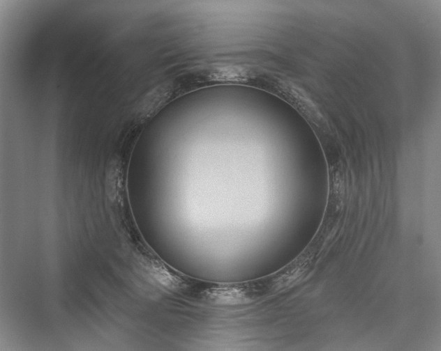 X0000076221234200610051111