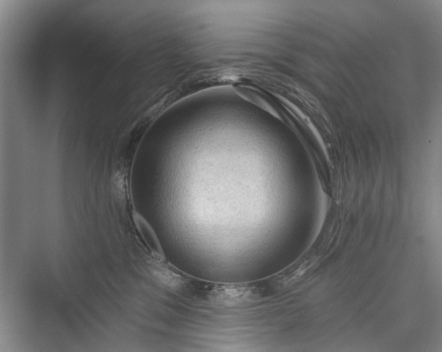 X0000076221241200610051111