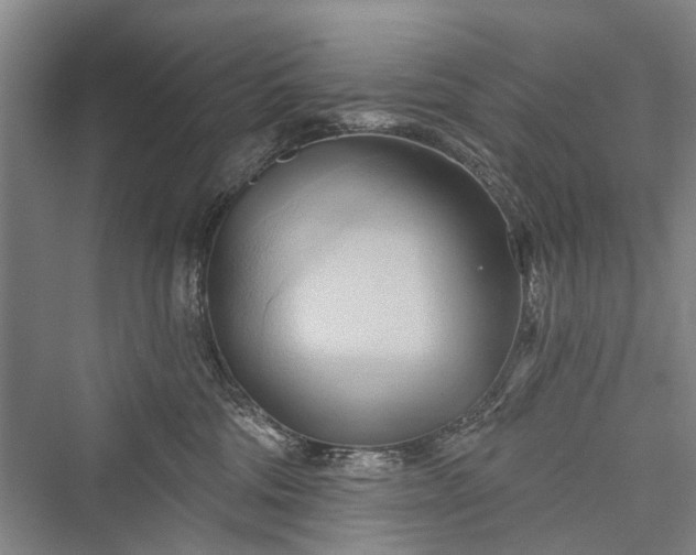 X0000076221242200610051111