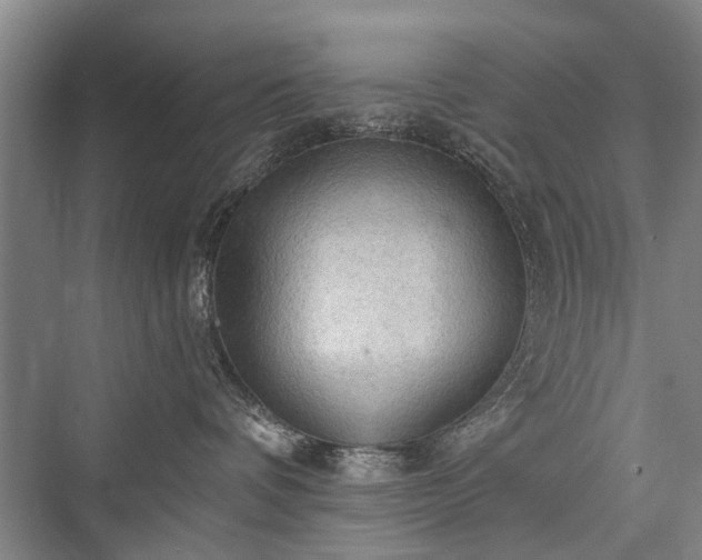 X0000076221248200610051111