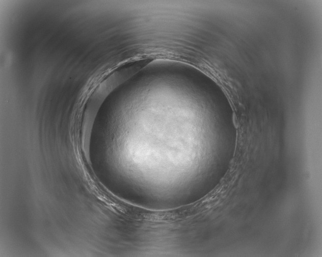 X0000076221249200610051112