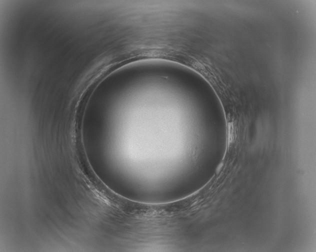 X0000076221251200610051112