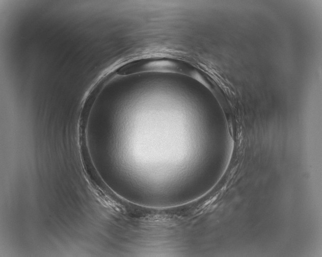 X0000076221252200610051112