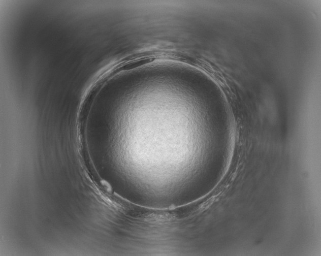 X0000076221253200610051112