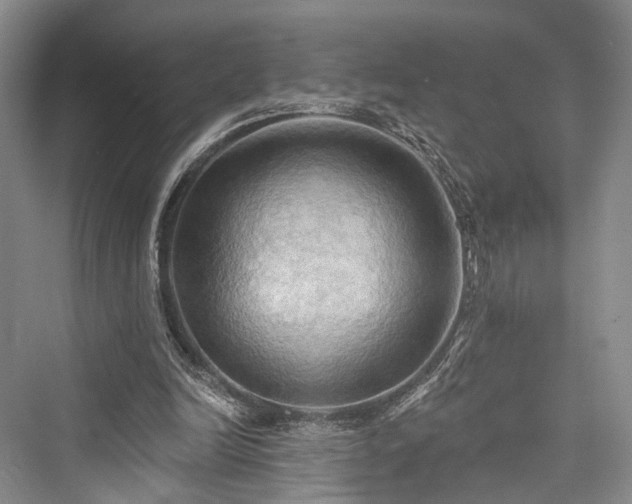 X0000076221254200610051112