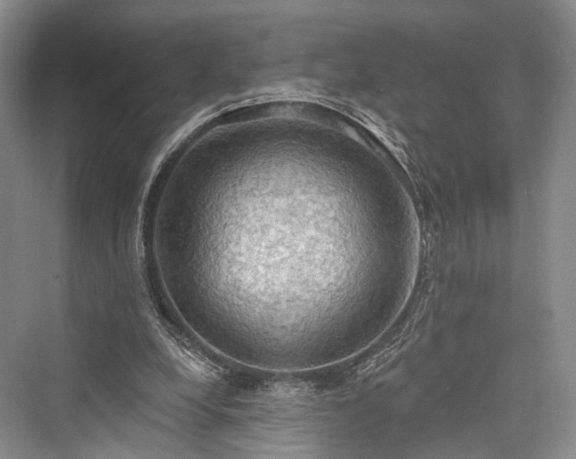 X0000076221256200610051112
