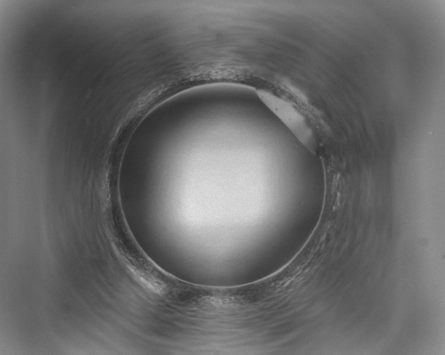 X0000076221258200610051112