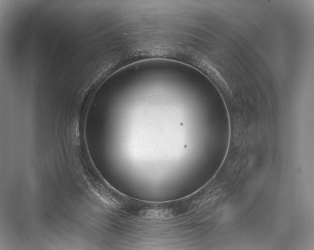 X0000076221259200610051112