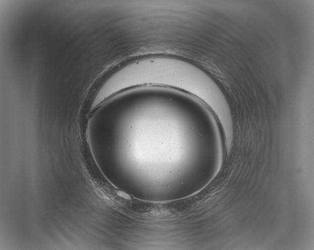X0000076221264200610051112