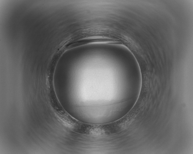 X0000076221266200610051112