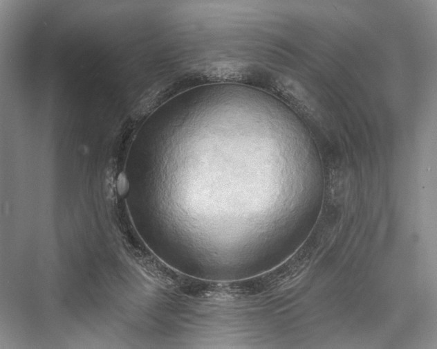 X0000076221267200610051112