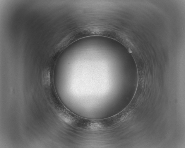 X0000076221270200610051112