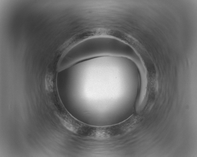 X0000076221272200610051112