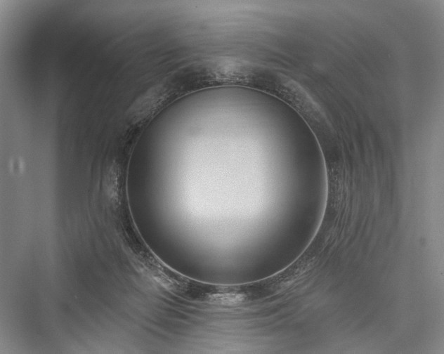 X0000076221274200610051112