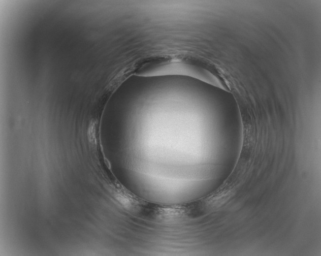 X0000076221294200610051113
