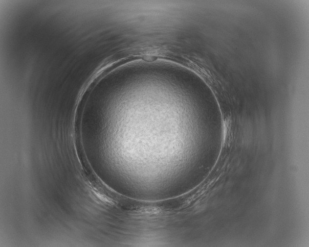 X0000076221299200610051114