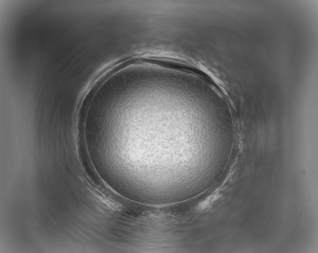 X0000076221303200610051114