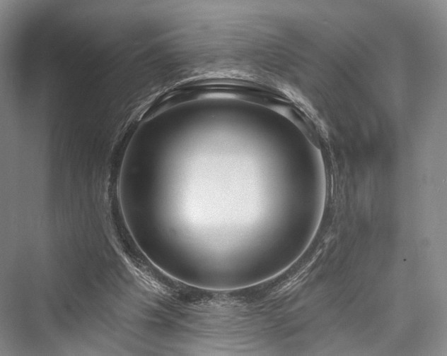 X0000076221305200610051113