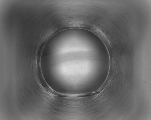 X0000076221306200610051113