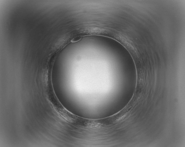 X0000076221310200610051113