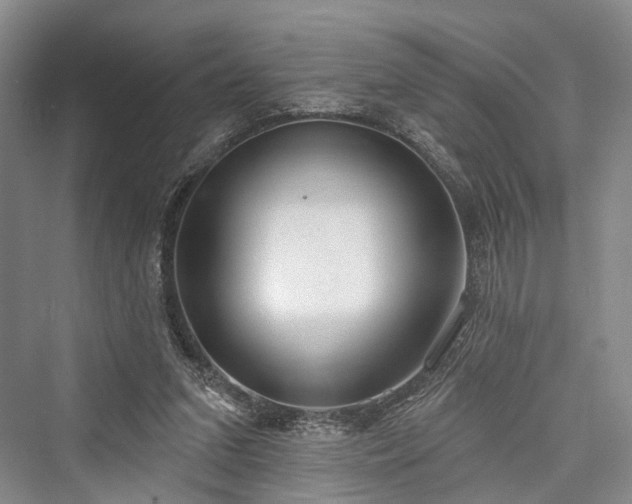 X0000076221311200610051113