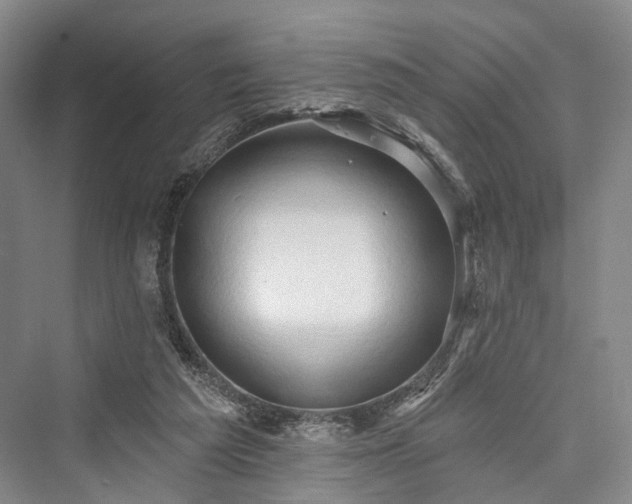 X0000076221313200610051113