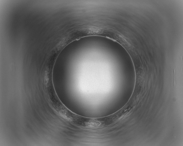 X0000076221319200610051113