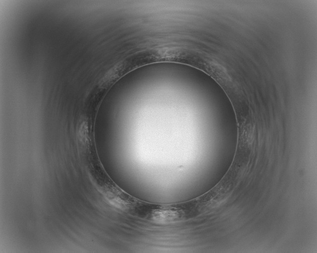 X0000076221324200610051113